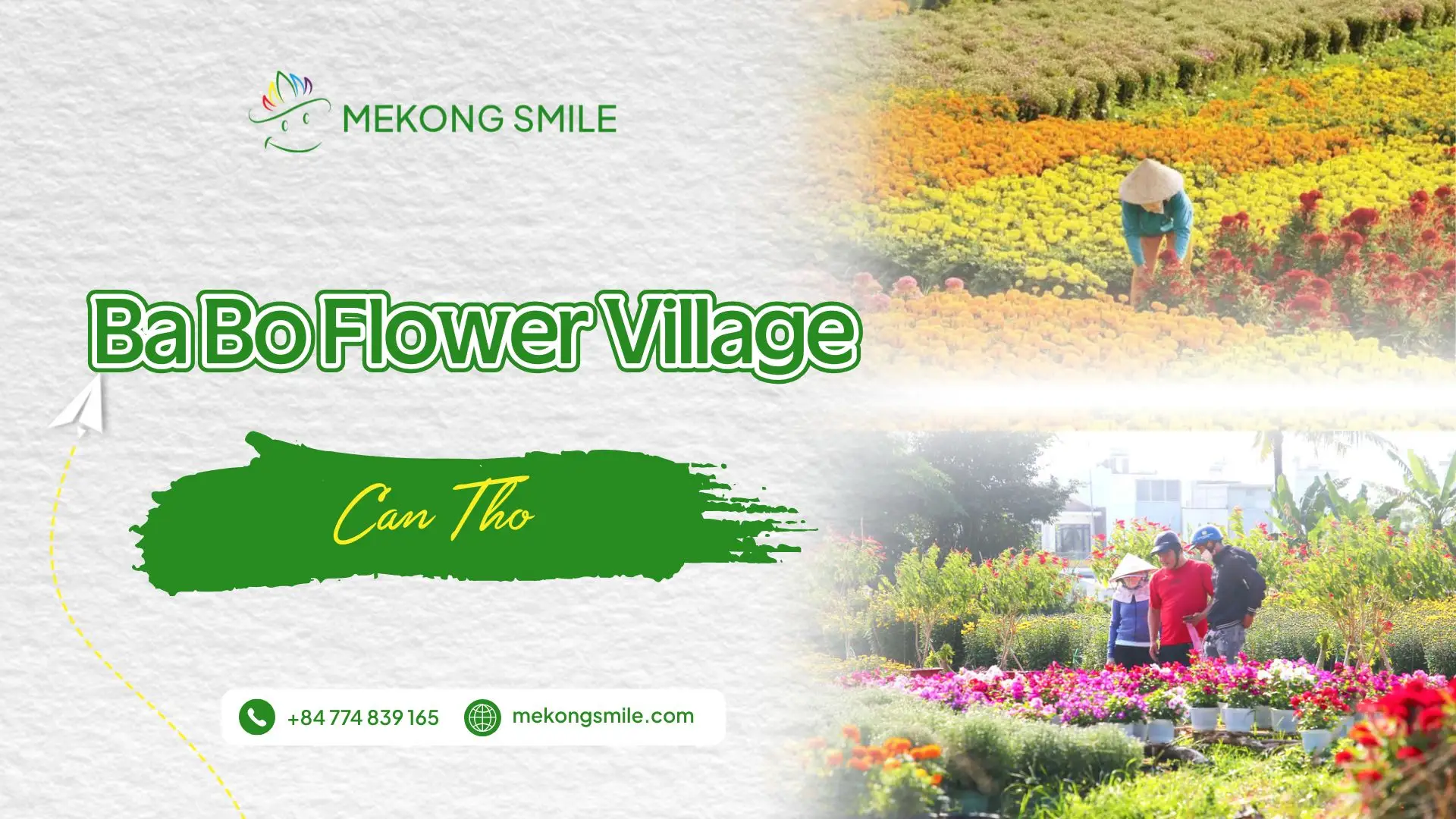 Enjoy the vibrant flowers at Ba Bo flower village
