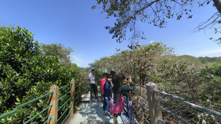 A walking path surrounded by greenery at Bang Lang Stork Garden