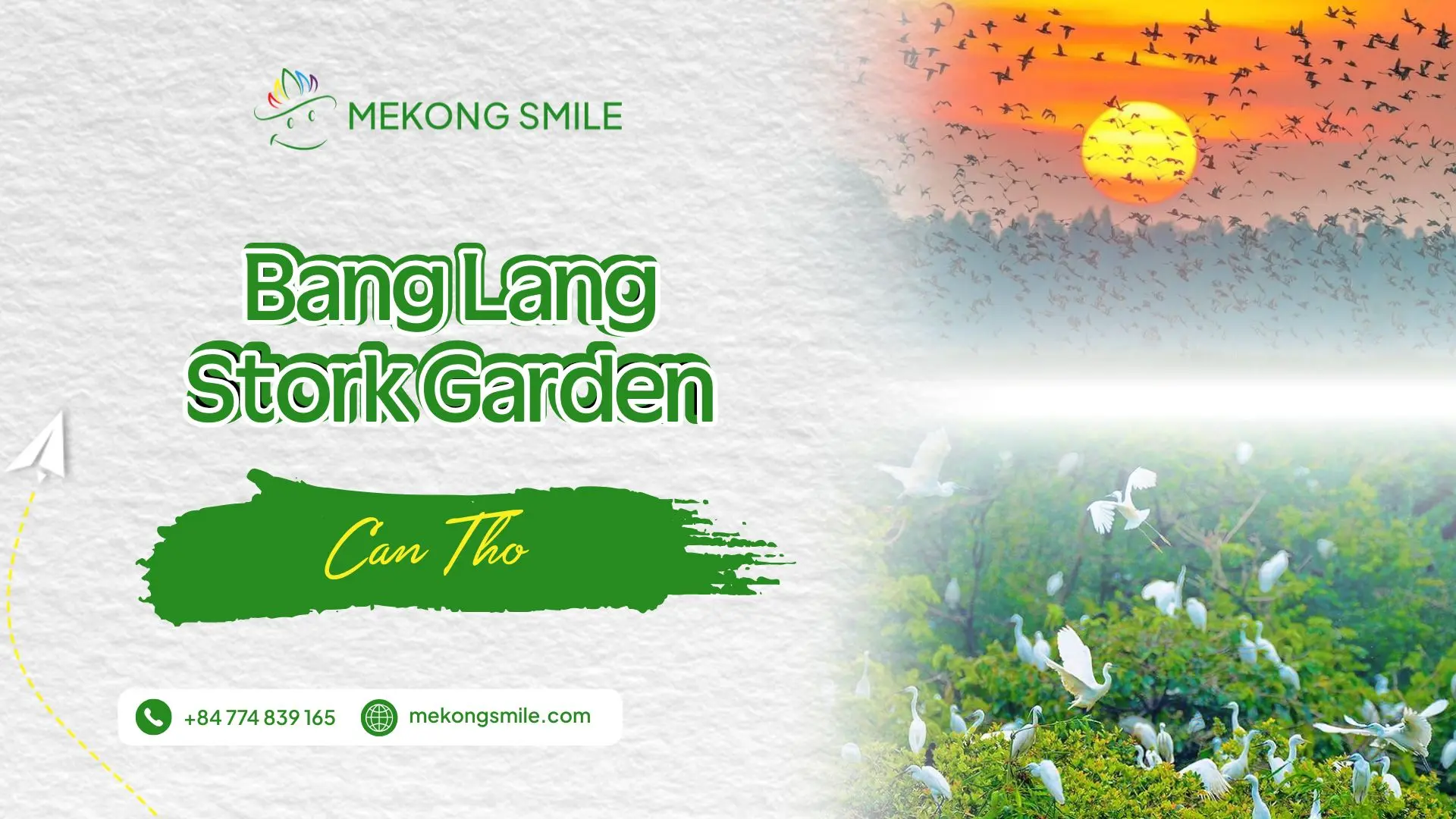 Bang Lang Stork Garden, a peaceful nature destination in the Mekong Delta
