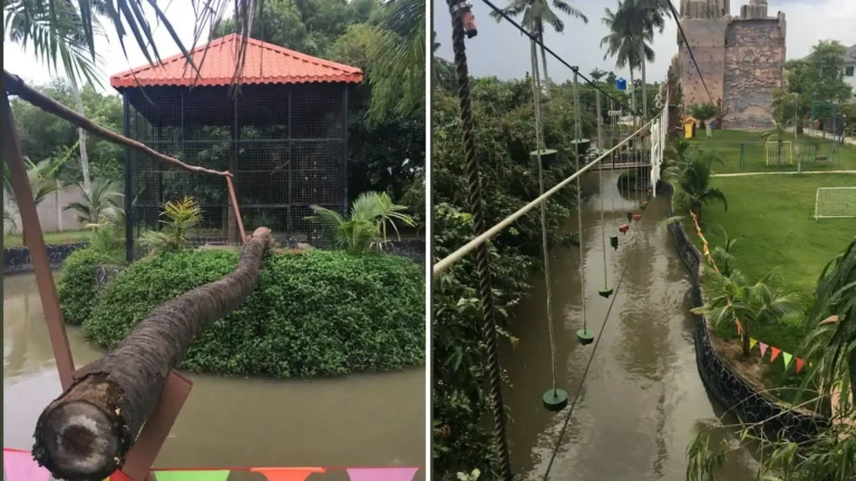 Bamboo bridge challenge at Bao Gia Trang Vien Ecological Village