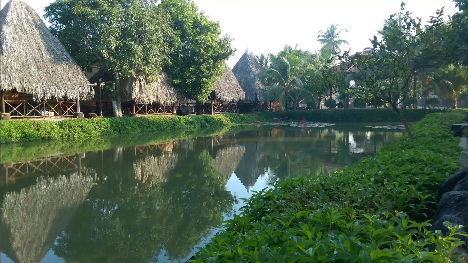 Natural landscape view at Bao Gia Trang Vien Ecological Village, Can Tho