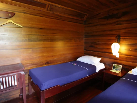 Mekong Smile Bassac Cruise Can Tho Cai Be twin cabin bedroom with wooden interior on Bassac Cruise