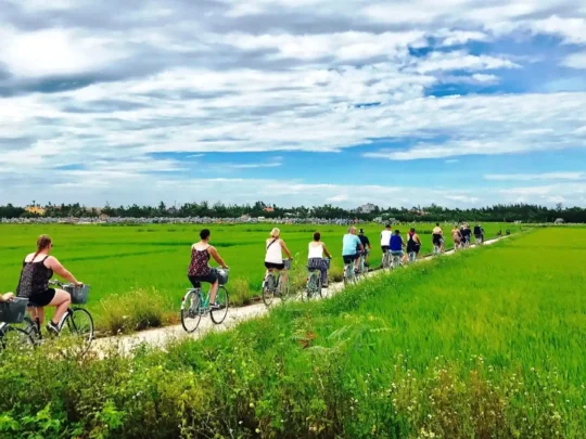 Mekong Smile Bassac Cruise Can Tho Cai Be group cycling along rice fields in Mekong Delta