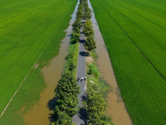 Mekong Smile Bassac Cruise Can Tho Cai Be Mekong Delta countryside road and canal aerial view