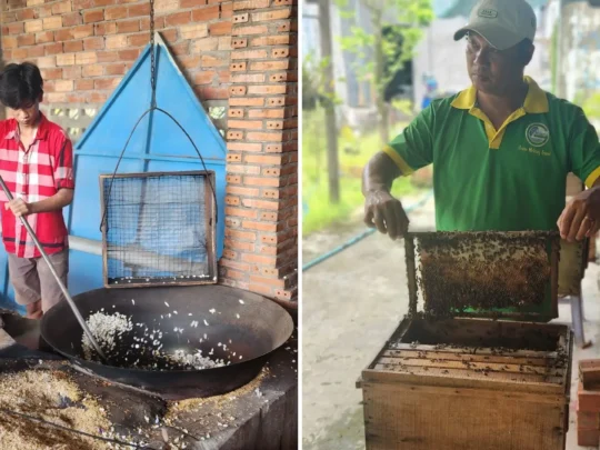 Making coconut candy and harvesting honey in Cai Be