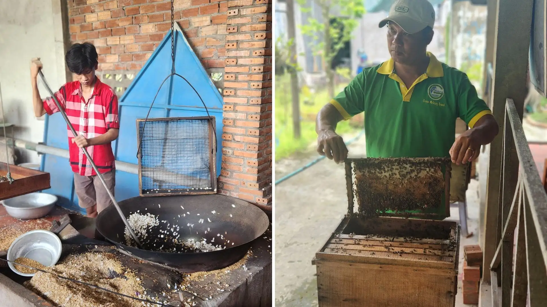 Making coconut candy and harvesting honey in Cai Be
