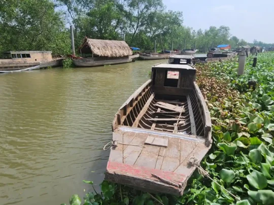 An empty wooden rowing boat on a river with water hyacinths in Cai Be