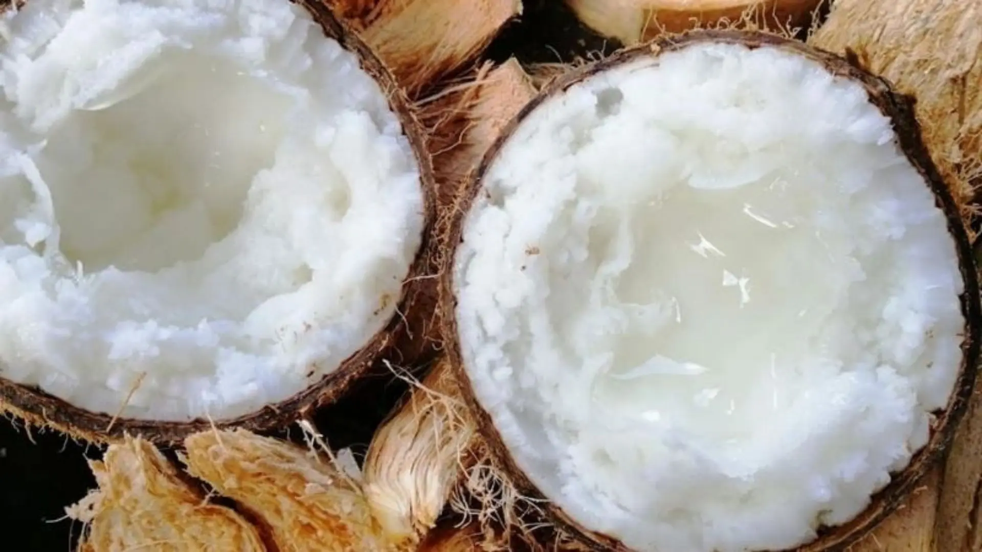 Ben Tre Travel Guide: The Kingdom of Coconuts 39 Macapuno coconut specialty in Ben Tre