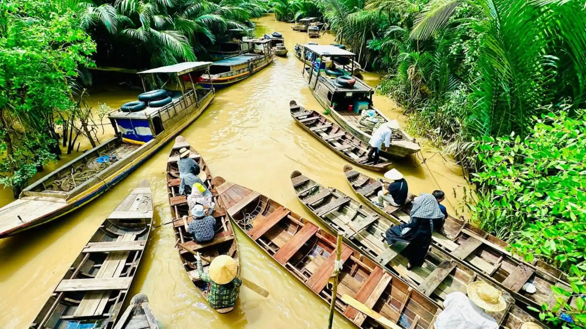 Ben Tre Travel Guide: The Kingdom of Coconuts 22 River tourism experience in Ben Tre