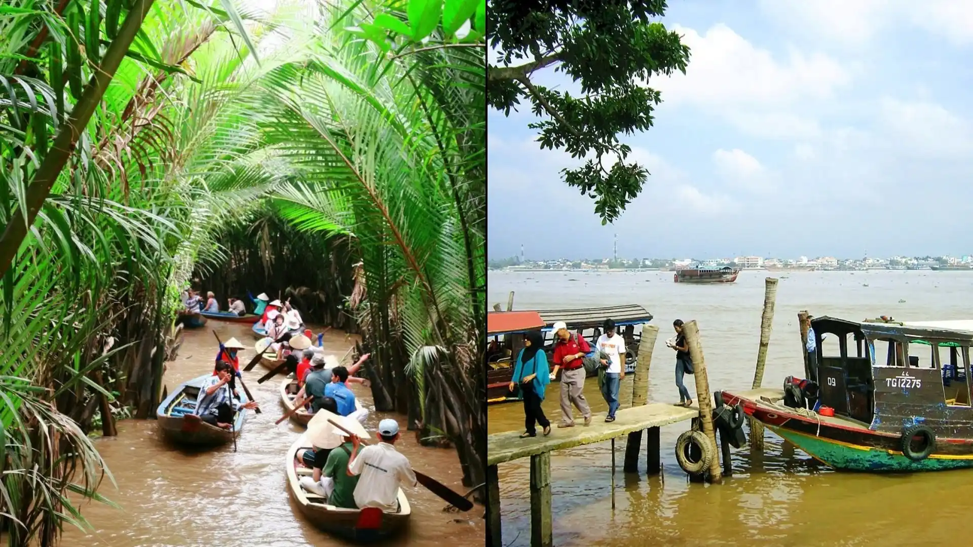Ben Tre Travel Guide: The Kingdom of Coconuts 33 Thoi Son islet in the Mekong Delta