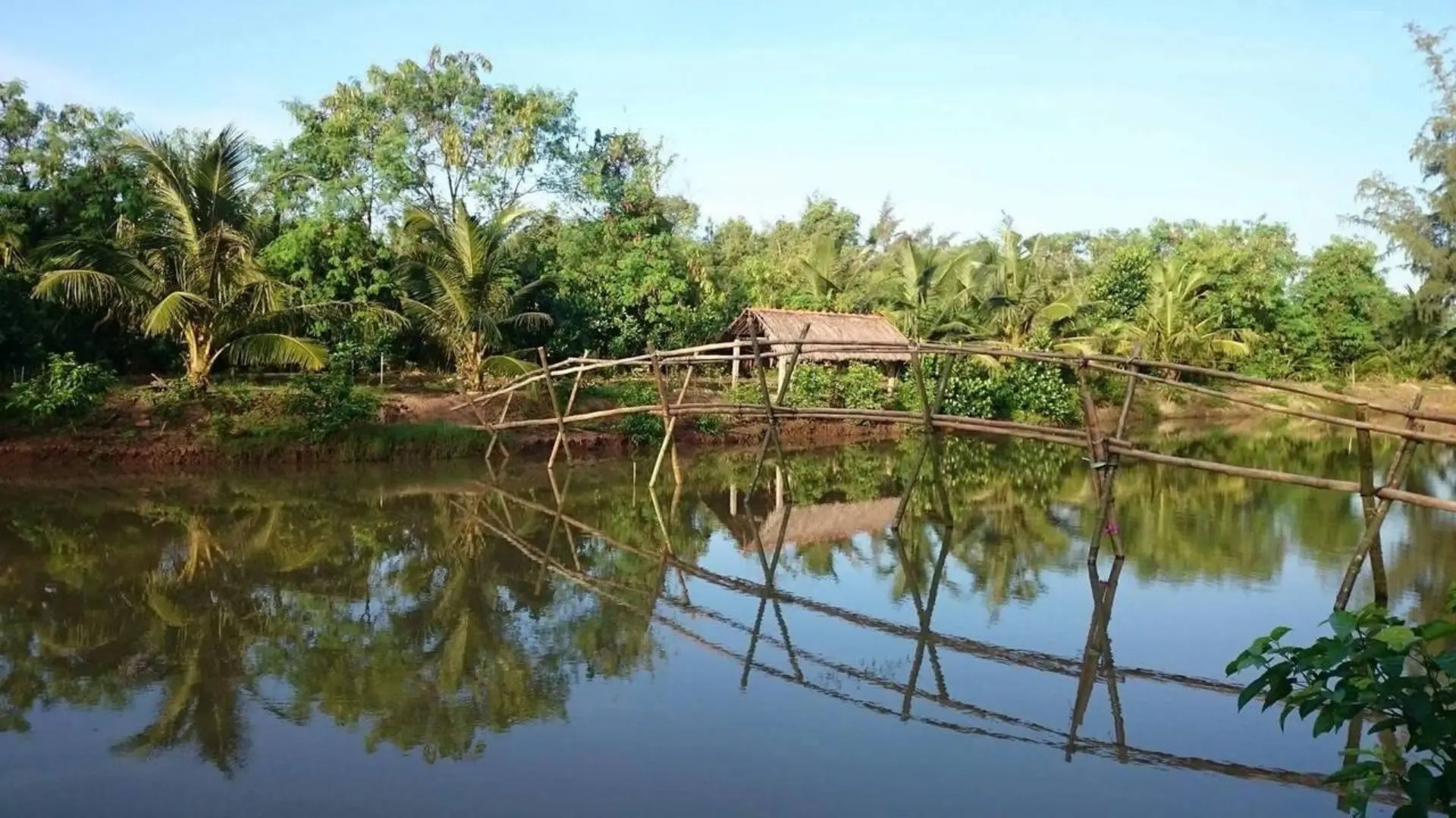 Ben Tre Travel Guide: The Kingdom of Coconuts 31 Vam Ho bird sanctuary in Ben Tre