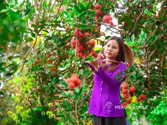 Mekong Delta fruit orchard visit