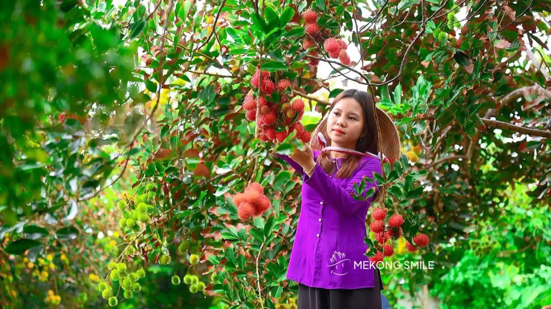 Mekong Delta fruit orchard visit