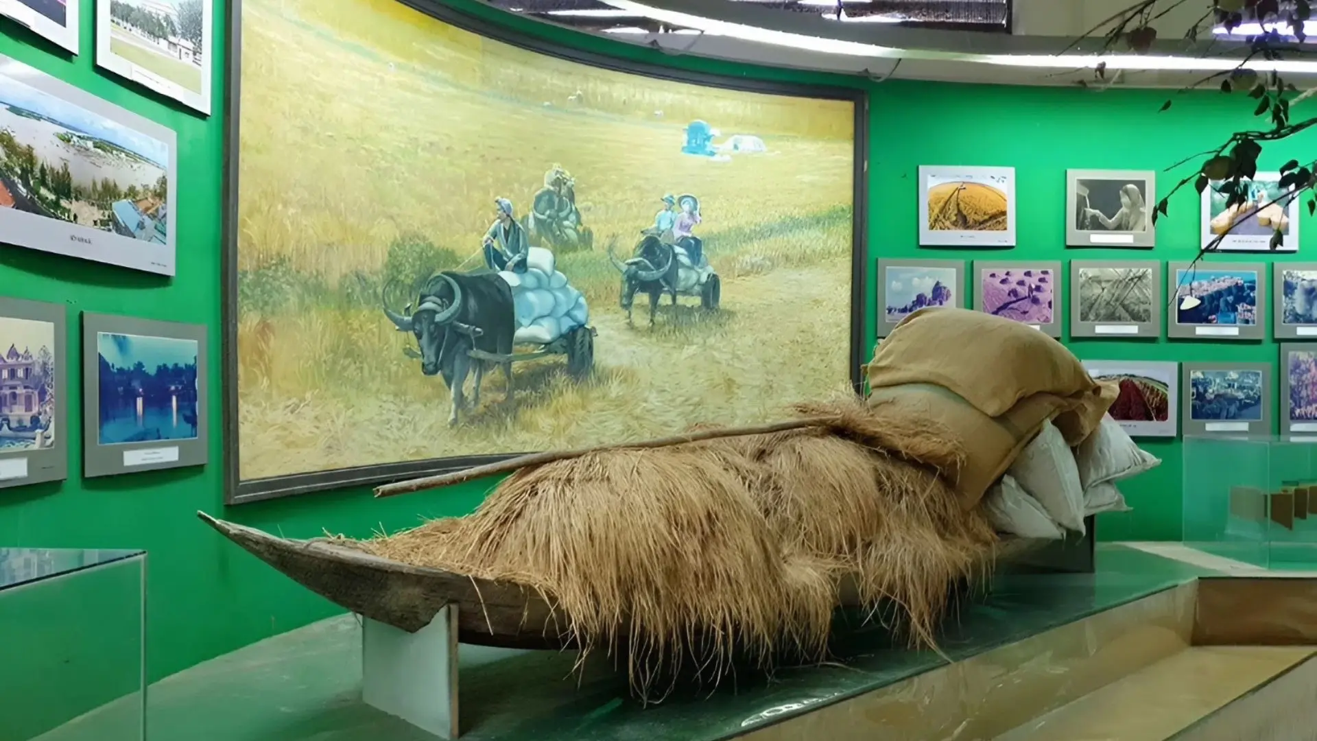 Can Tho Museum: Your Guide to the Mekong Delta's History 288 Ground floor view of Mekong Delta rivers, the rice bowl of Vietnam