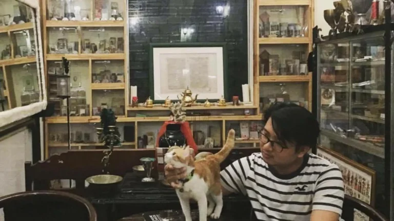 A visitor interacting inside Can Tho Tarot Museum