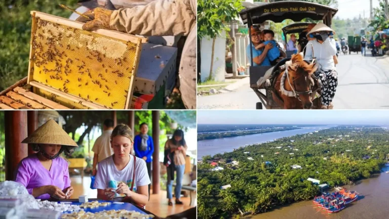 Local activities and honey farm tour in Ben Tre