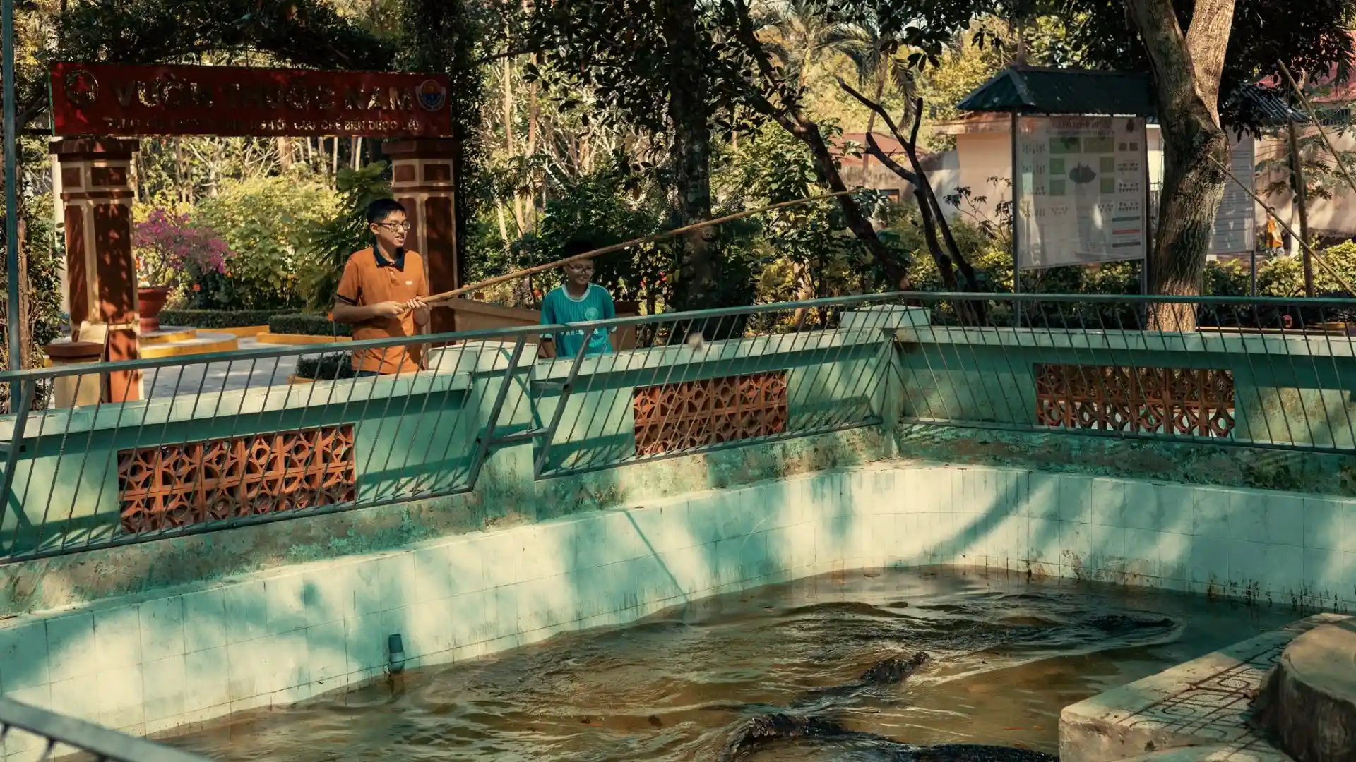A child feeding crocodiles with a fishing rod at Dong Tam Snake Farm in Tien Giang, Vietnam, an interactive wildlife experience for visitors