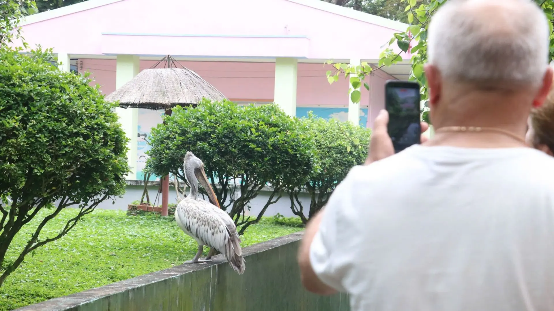 Visitors photographing birds near a pond inside Dong Tam Snake Farm nature area in Tien Giang, Vietnam