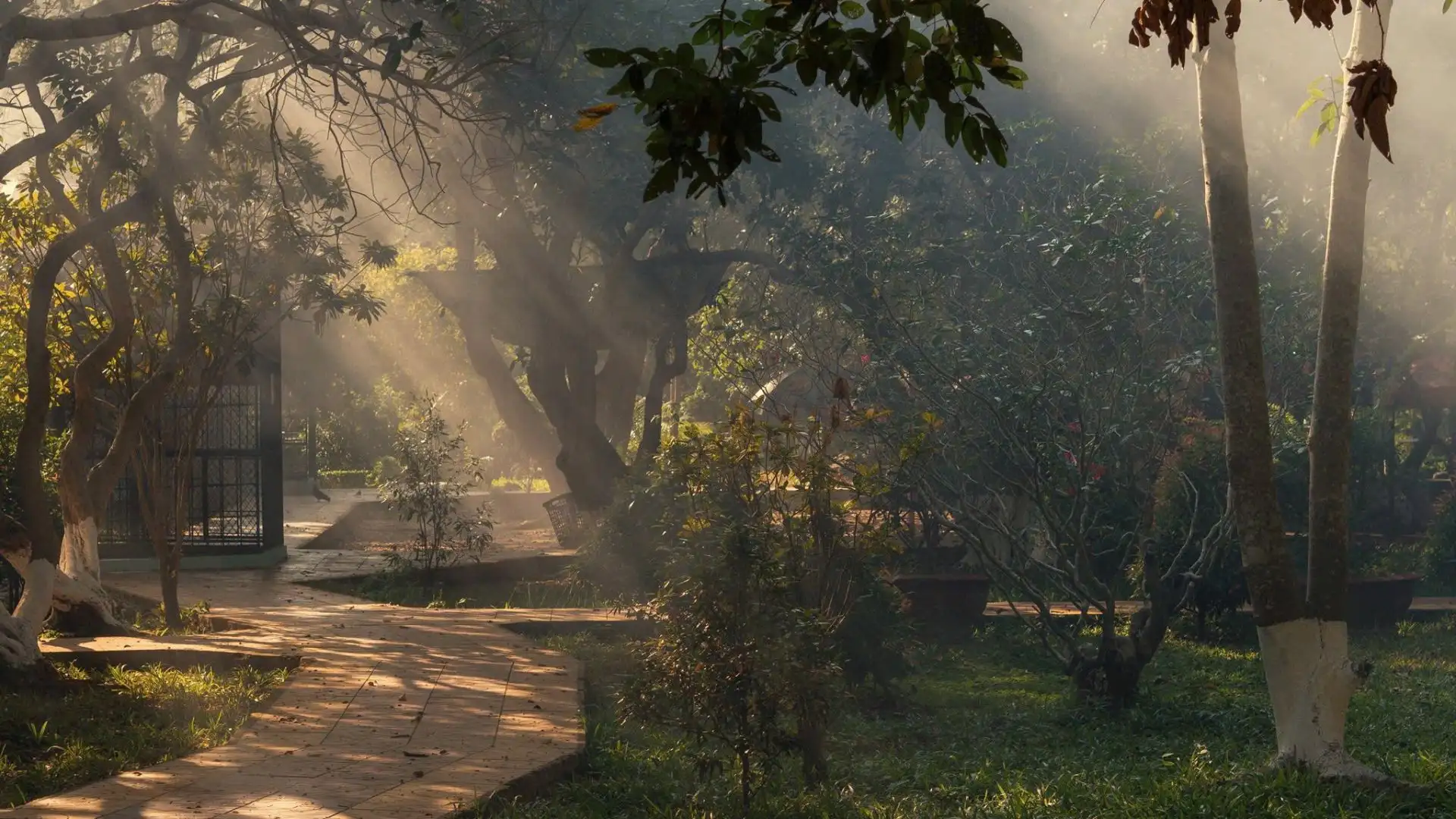 Scenic nature pathway with sunlight through trees at Dong Tam Snake Farm in Tien Giang, Mekong Delta