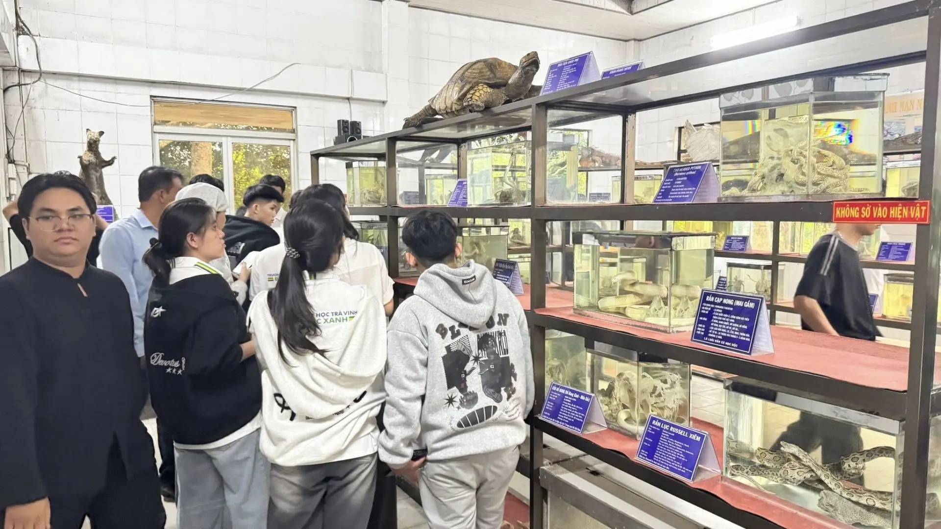 Visitors learning about snakes through educational exhibits inside Dong Tam Snake Farm research center in Tien Giang