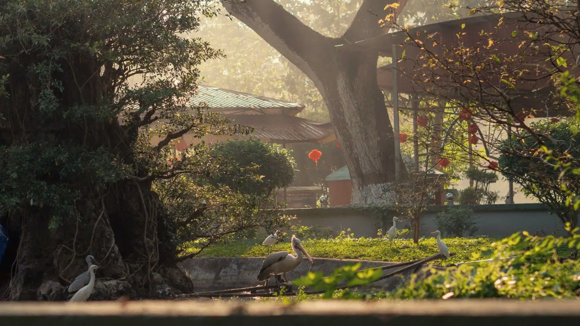 Visitors relaxing in the shaded wildlife garden area at Dong Tam Snake Farm in Tien Giang, Vietnam