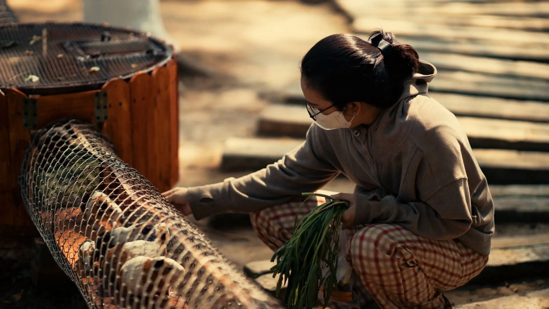 Visitors feeding a mouse in an animal enclosure at Dong Tam Snake Farm in Tien Giang, Vietnam
