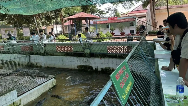 Visitors observing snake ponds and enclosures at Dong Tam Snake Farm in Tien Giang, Vietnam