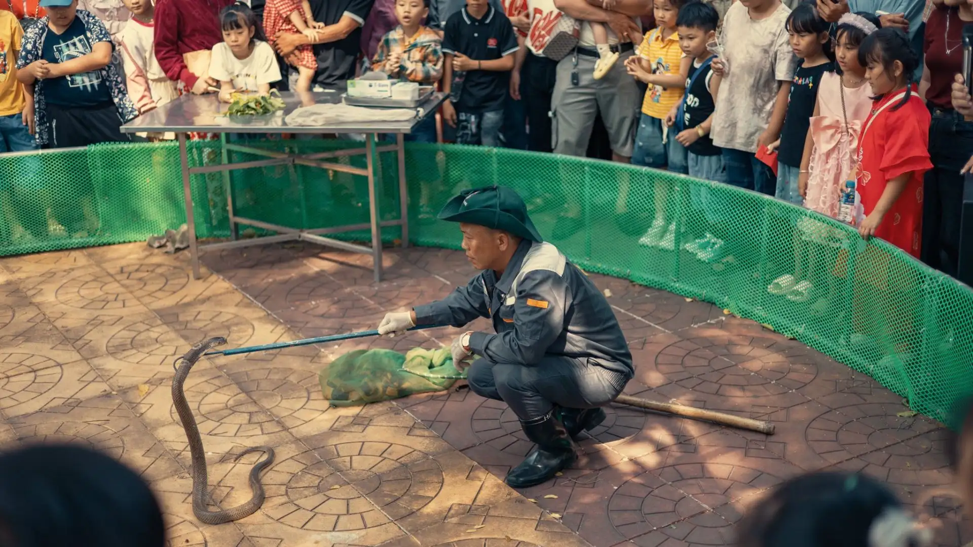Staff member handling a snake as part of daily care at Dong Tam Snake Farm in Tien Giang
