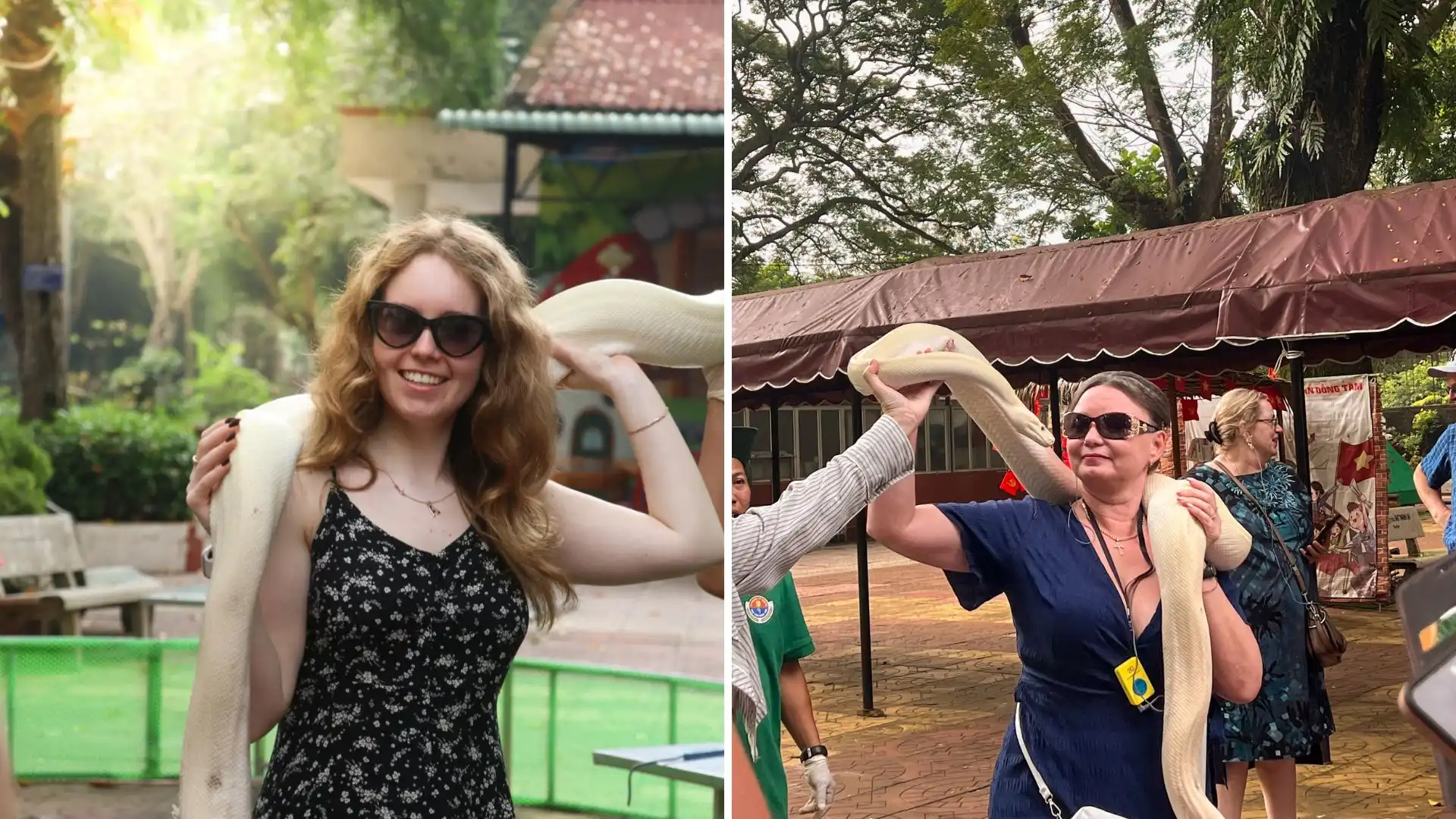 Dong Tam Snake Farm: The Kingdom of Cobras in Tien Giang