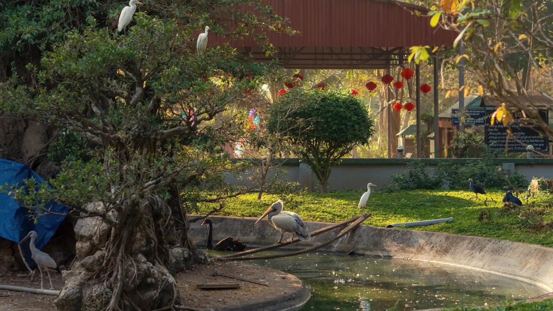 Lush tropical garden landscape inside Dong Tam Snake Farm in Tien Giang, Vietnam