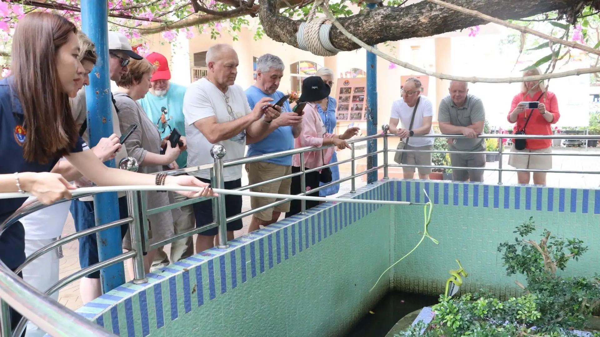 Tourists observing snakes inside protected enclosures at Dong Tam Snake Farm in Tien Giang, Vietnam