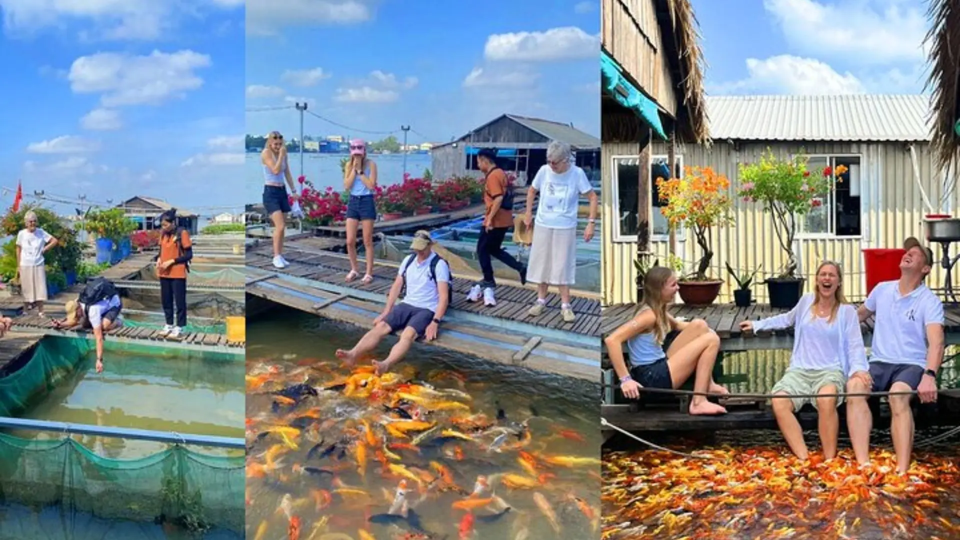 Visitors experiencing daily activities at a floating fish farm