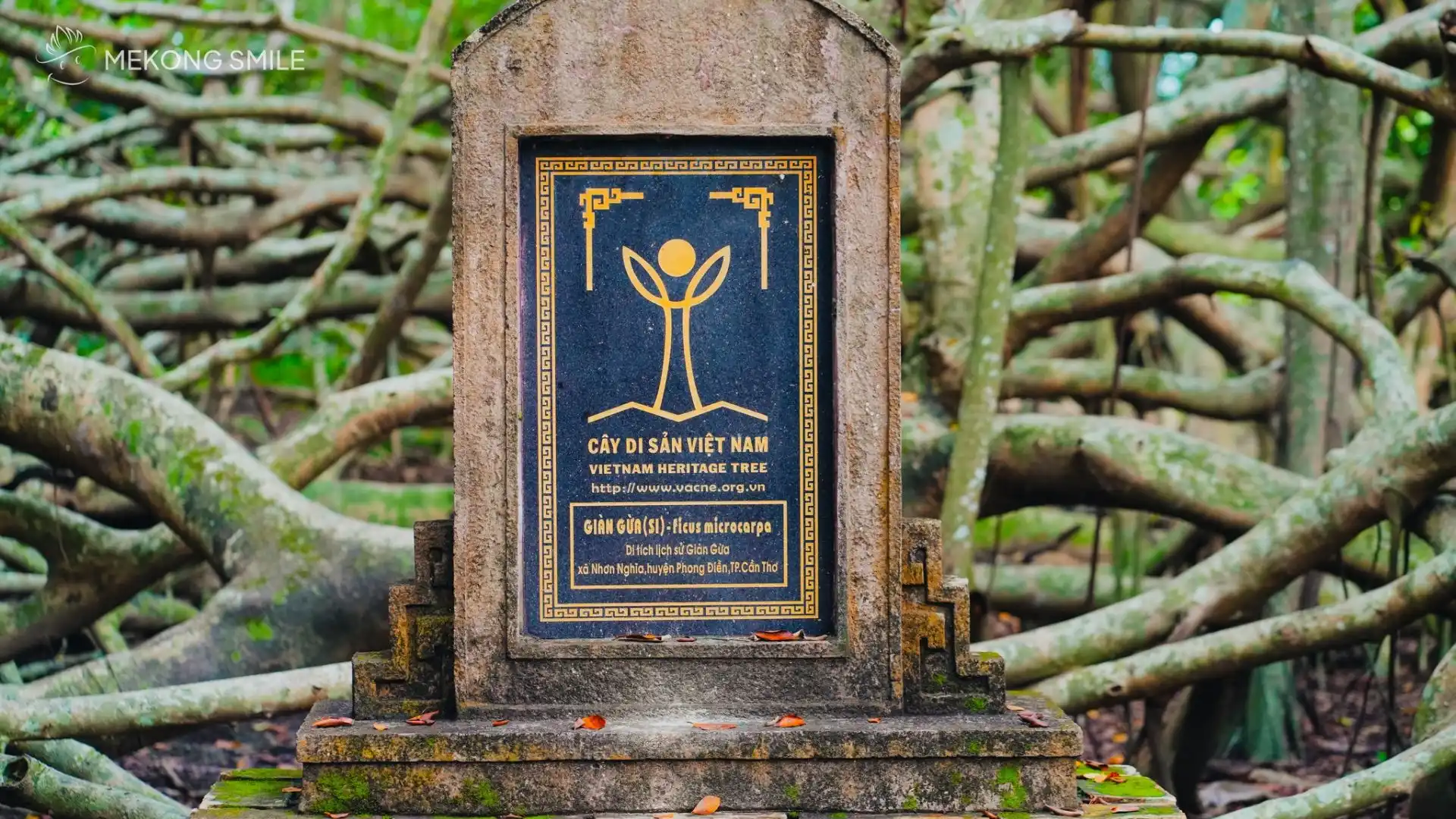 Gian Gua heritage plaque