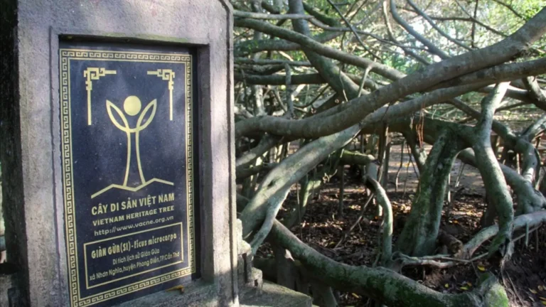 Signboard of Gian Gua Relic site