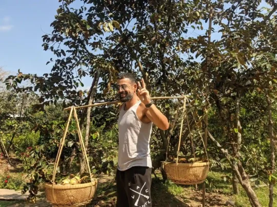 Fruit garden experience in Mekong Delta during 2 days tour