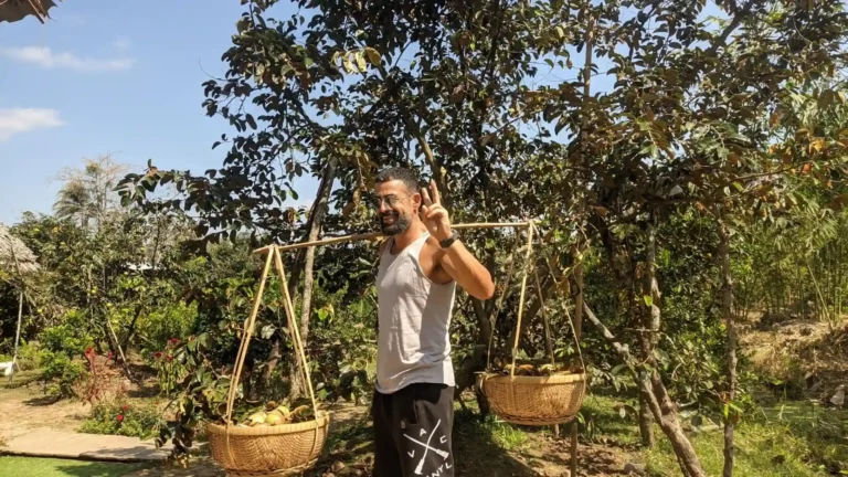 Fruit garden experience in Mekong Delta during 2 days tour