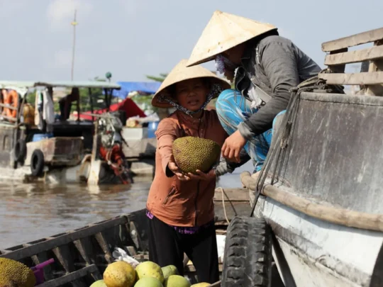 Local vendors trading fruit at Cai Rang Floating Market during a Mekong Delta cruise in Can Tho