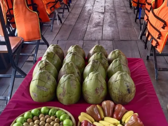 Coconuts and various tropical fruits arranged on a boat for tourists in Mekong Delta Tour Cai Be