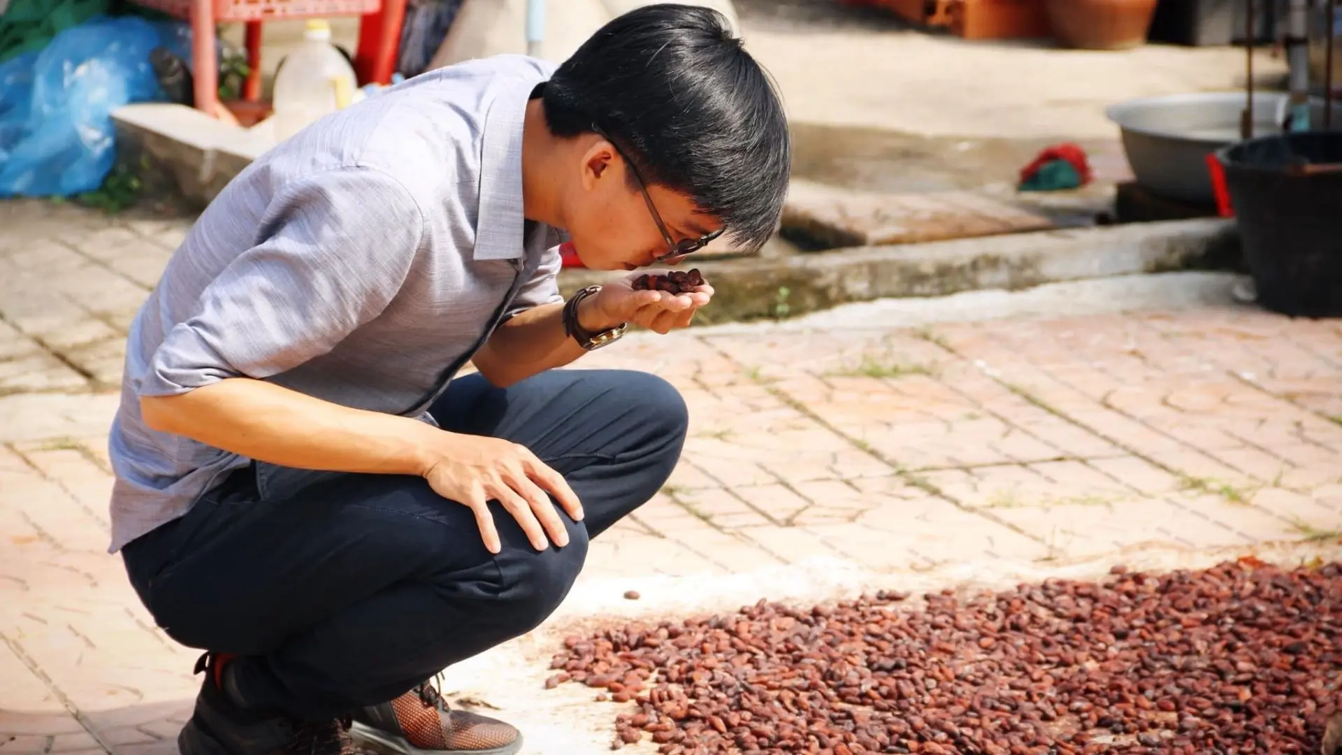 Cacao beans being dried naturally at the garden