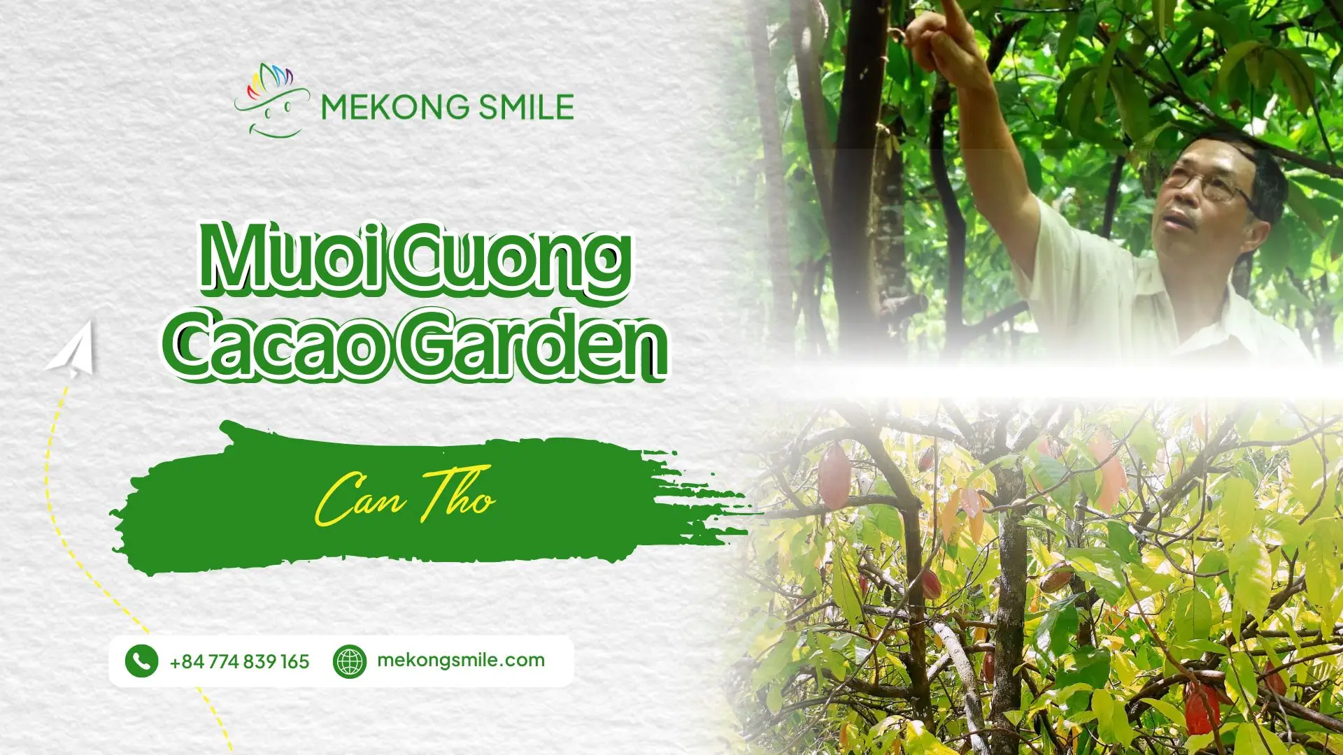 Muoi Cuong Cacao Garden experience in the Mekong Delta