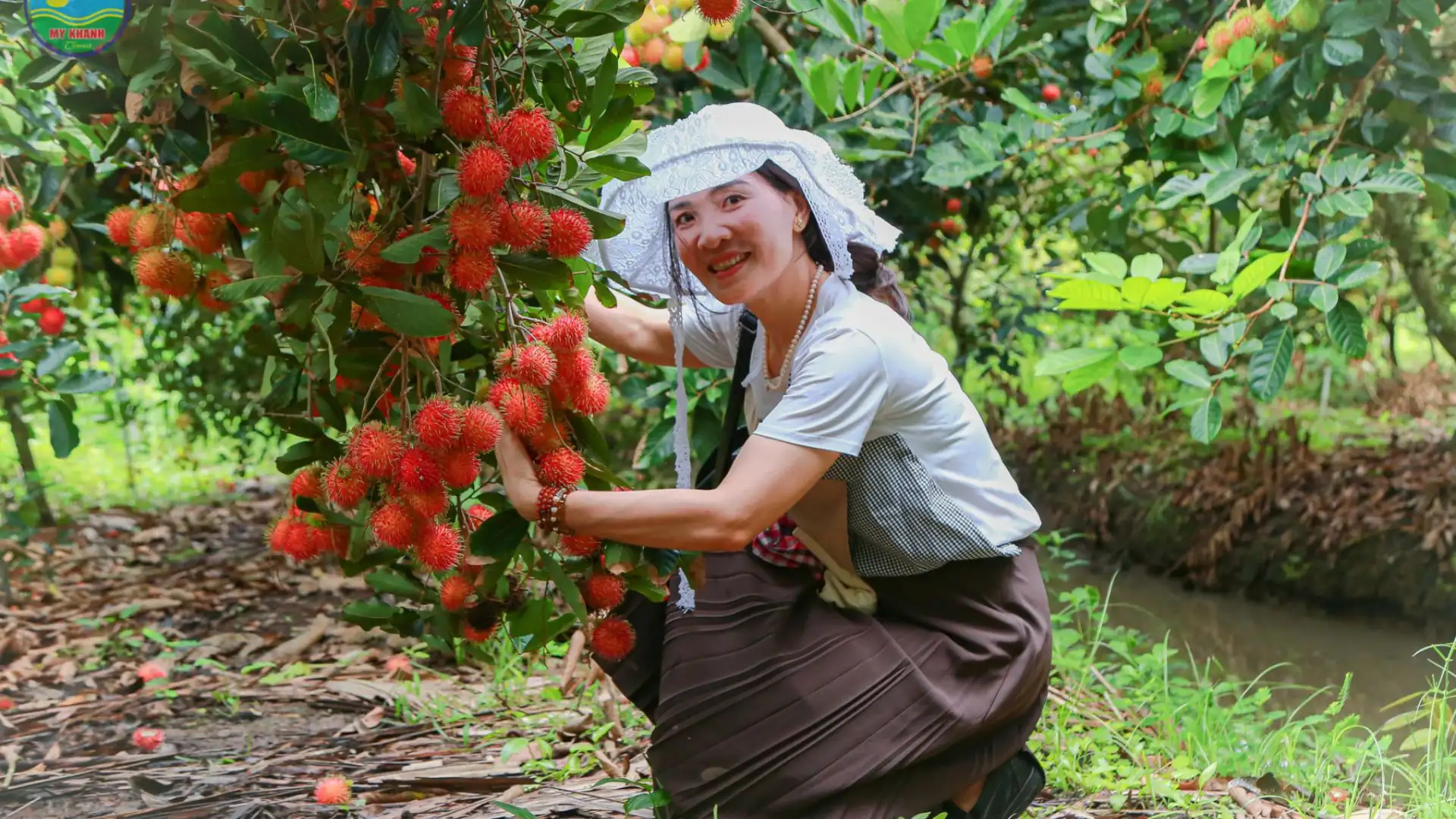 Visitor harvesting fresh fruits in the garden at My Khanh Tourist Village