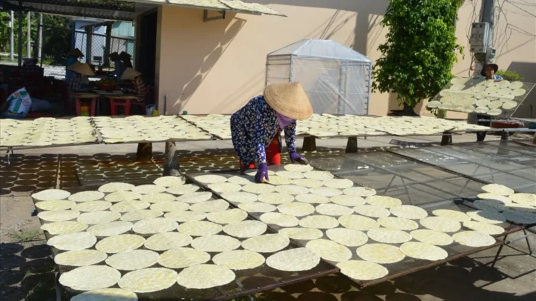 Artisan sun-drying rice paper sheets in the yard at Son Doc Puff Rice Paper Village