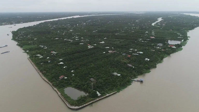 An aerial drone shot showing the large, green, tree-covered landscape of Tan Phong Islet surrounded by the Mekong River