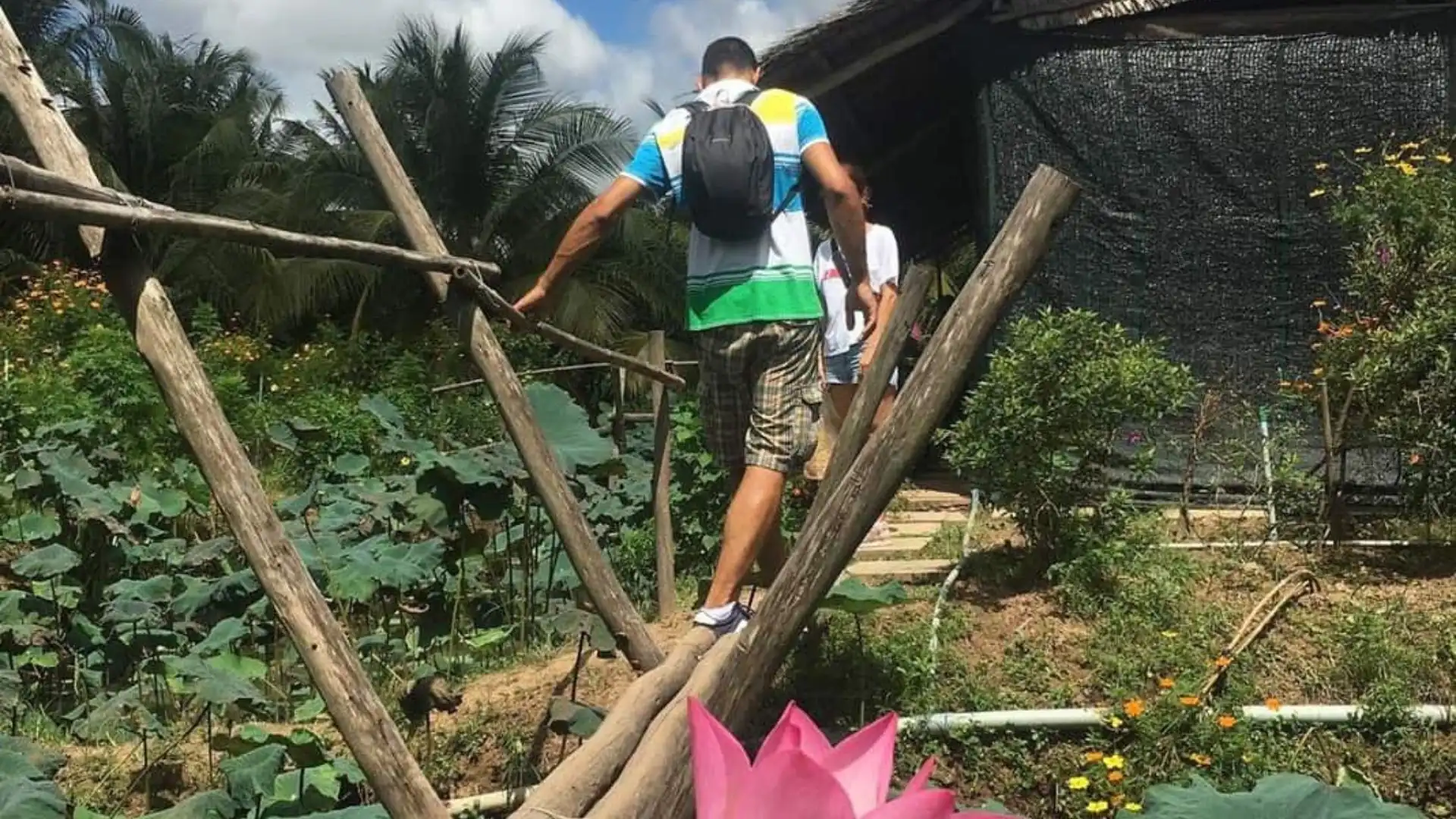 A tourist carefully crossing a traditional Vietnamese bamboo monkey bridge over a small canal on Tan Phong Islet