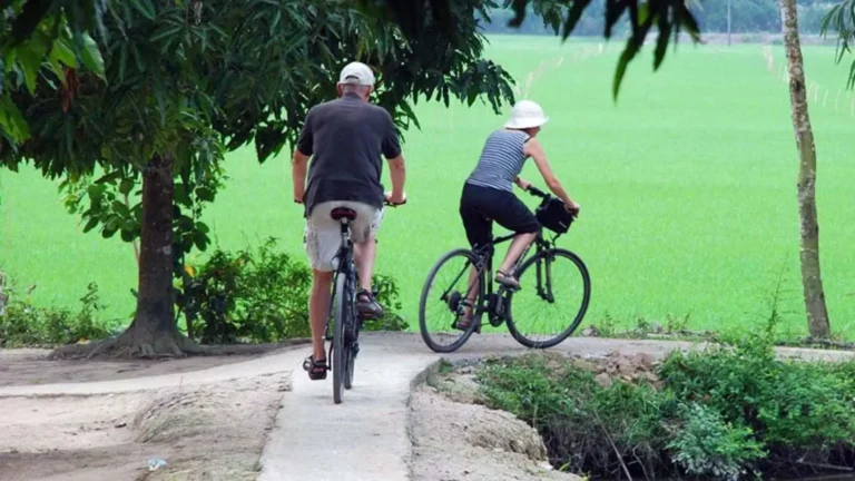 Two travelers cycling down a narrow paved path alongside lush rice fields on Tan Phong Islet