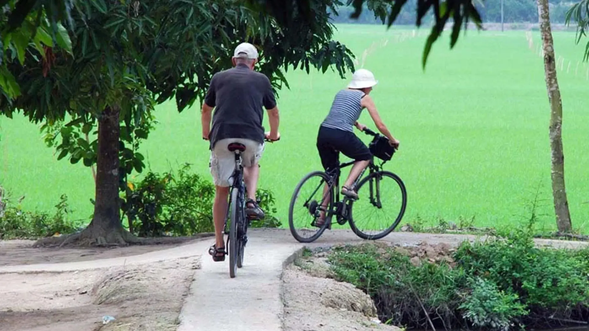 Tan Phong Islet: Cai Be’s Rambutan Kingdom & Eco-Paradise 164 Two travelers cycling down a narrow paved path alongside lush rice fields on Tan Phong Islet