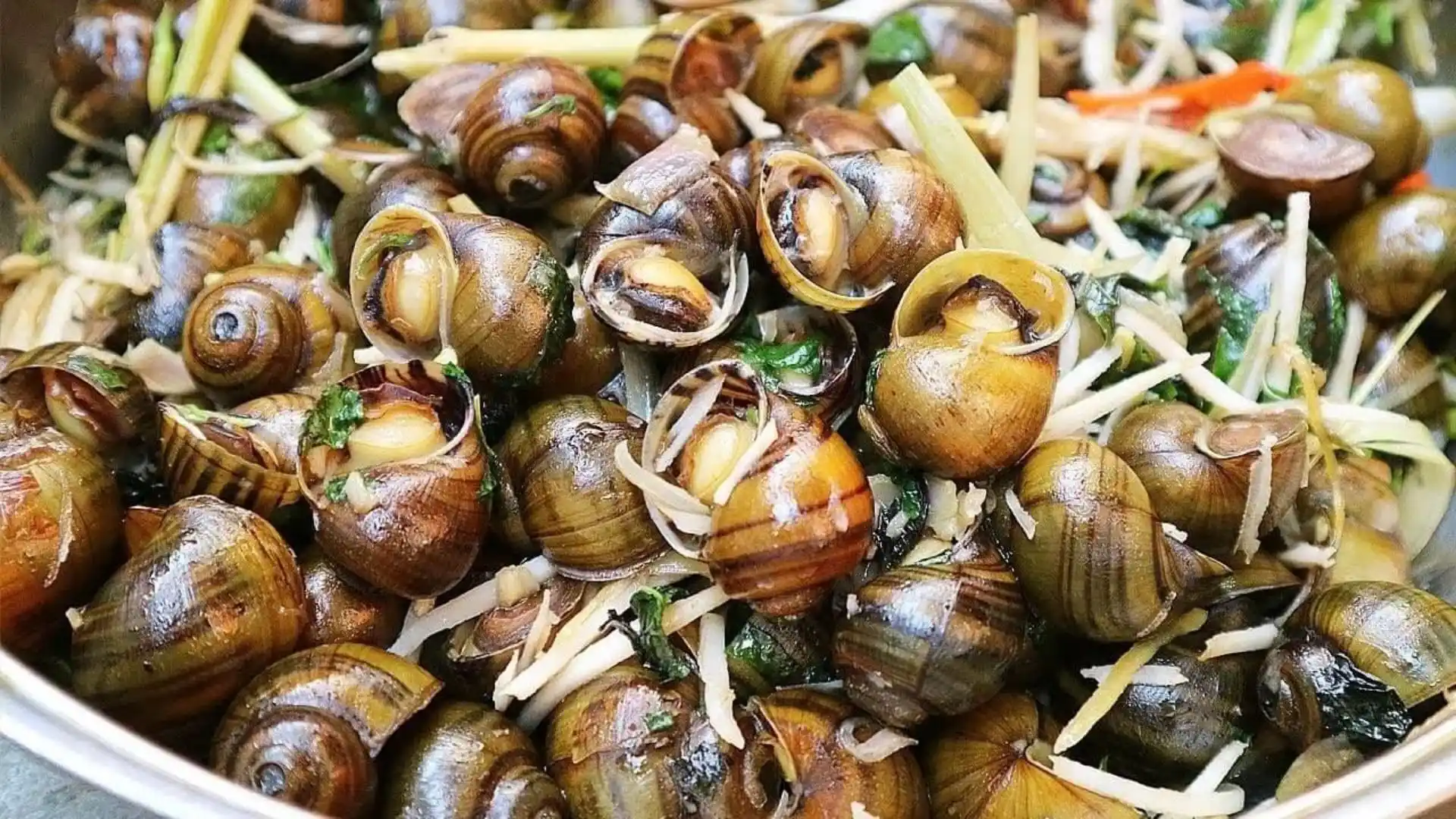 Tan Phong Islet: Cai Be’s Rambutan Kingdom & Eco-Paradise 167 A large bowl of steamed apple snails garnished with lemongrass and ginger, a local delicacy on Tan Phong Islet