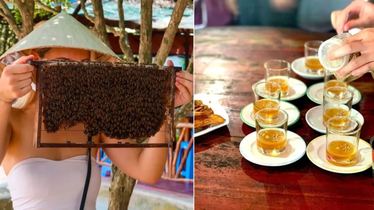 Honey tea tasting experience at Thoi Son Island
