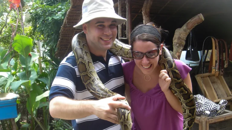 Tourists posing with python at Thoi Son Island Mekong Smile tour