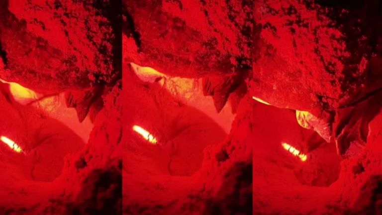 Mother sea turtle nesting under red conservation lighting on Bay Canh Island